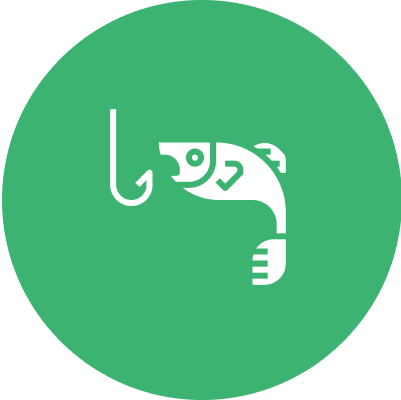 Mahi-Mahi Fishing Charters Islamorada